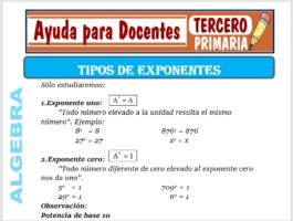Modelo de la Ficha de Tipos de Exponentes para Tercero de Primaria