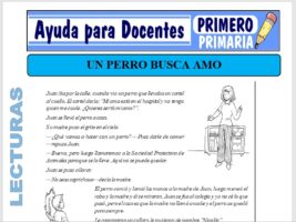 Modelo de la Ficha de Un Perro Busca su Amo para Primero de Primaria