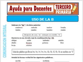 Modelo de la Ficha de Uso de la “B” para Tercero de Primaria