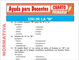 Modelo de la Ficha de Uso de la “M” para Cuarto de Primaria