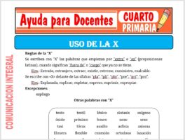 Modelo de la Ficha de Uso de la “X” para Cuarto de Primaria