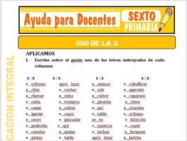 Modelo de la Ficha de Uso de la “X” para Sexto de Primaria