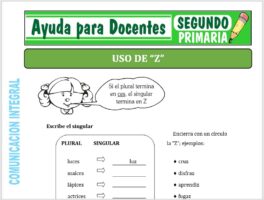 Modelo de la Ficha de Uso de la “Z” para Segundo de Primaria