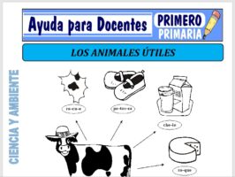 Modelo de la Ficha de Variedad de Animales Útiles para Primero de Primaria