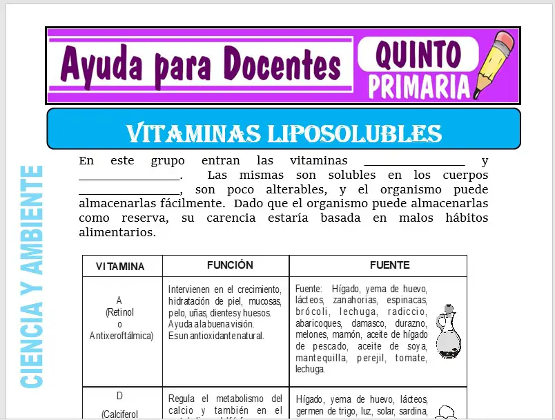 Modelo de la Ficha de Las Vitaminas Liposolubles para Quinto de Primaria