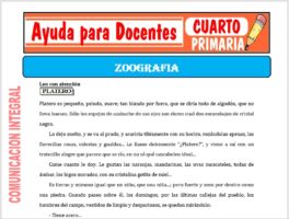 Modelo de la Ficha de La Zoografia para Cuarto de Primaria